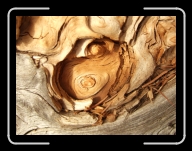 1.Mai-Ausflug 050 * 2848 x 2136 * (3.04MB)